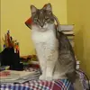 Отзыв от Ольга Постникова